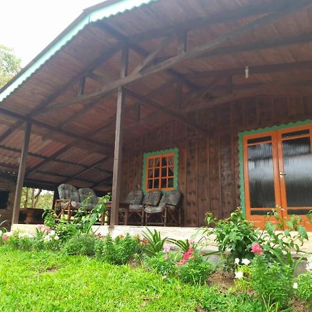 Sitio Recanto Da Guarda - Cabana Araucaria Bom Retiro  Ngoại thất bức ảnh