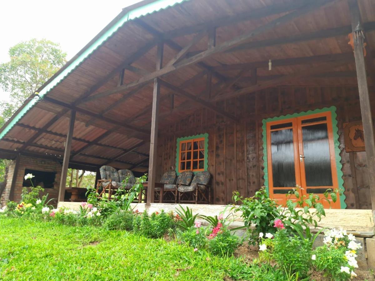 Sitio Recanto Da Guarda - Cabana Araucaria Bom Retiro  Ngoại thất bức ảnh